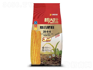 �ͺϷ���28-6-6-�����-��Դ��ʢ