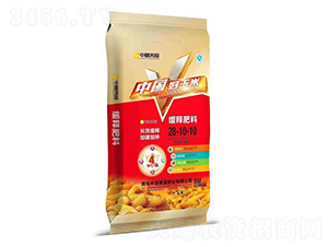 ��ጷ���28-10-10-��Դ��ʢ