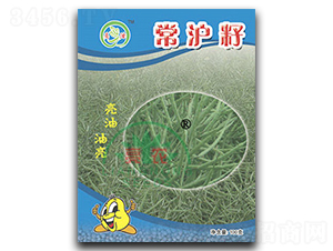 ������-�Ͳ˷N��-���r