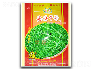 ����9̖-�Ͳ˷N��-���r