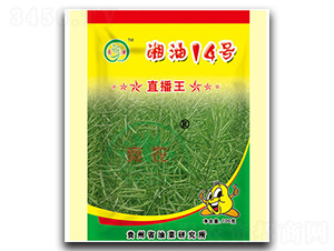 ����14̖-�Ͳ˷N��-���r