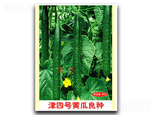 ����̖�S�����N-�S�ϷN��-���r