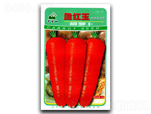 ��t��-�}���N��-�G����