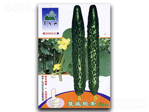 �����n�l-�S�ϷN��-�G����