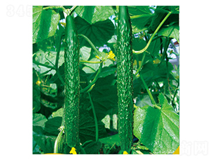 ���h�����S��-�S�ϷN��-�G����