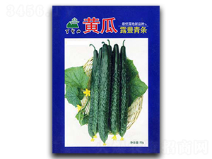 ¶�S���l-�S�ϷN��-�G����