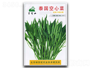 泰國空心菜-空心菜種子-綠百旺