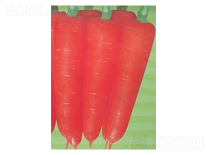 ���t���-���}���N��-������