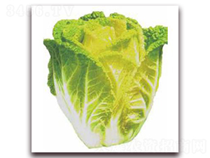 �Sѿ14-�ײ˷N��-�����r