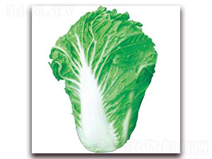 ������̖-�ײ˷N��-�����r