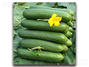 �̴�19-�S�ϷN��-�����r