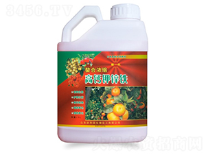 ���ϝ�s���}��\�F-�r���l