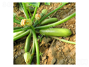 ����39-�����J�N��-������