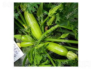 �G��140-�����J�N��-������