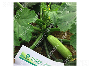 ����216-�����J�N��-������