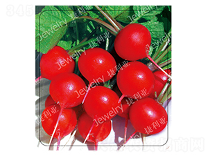 ����4̖-�����}���N��-������