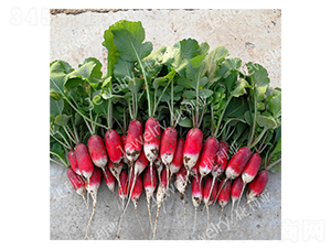 ����114-�����}���N��-������