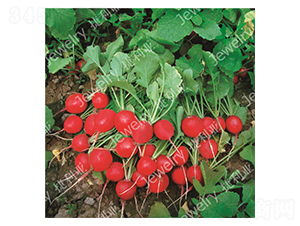 ����2̖-�����}���N��-������