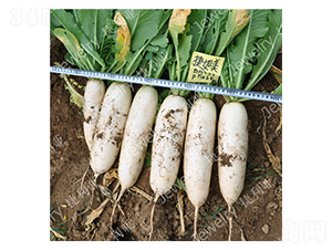 ������-�}���N��-������