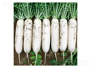 CR���紺4̖-�}���N��-������