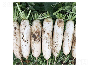 ������1512-�}���N��-������