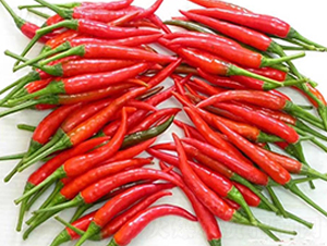 ʥ�r�t��ʯ06���콷-���콷�N��-ʥ�r�߿�