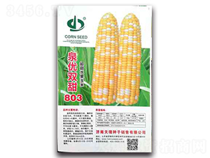 Ȫ���p��803-Ŵ���׷N��-����N��