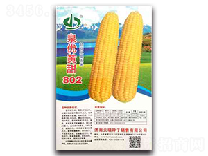 Ȫ���S��802-Ŵ���׷N��-����N��