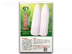 Ȫ������801-Ŵ���׷N��-����N��