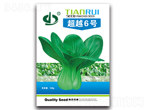 ��Խ6̖-�๣�˷N��-����N��