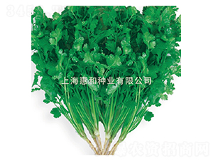 ����-��˷N��-�ݺͷN�I(y��)