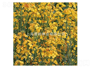 ����һ̖-�Ͳ˷N��-�ݺͷN�I