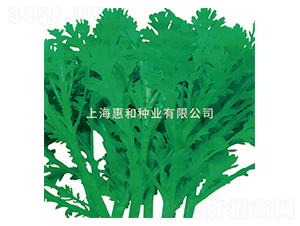 �����̖-��շN��-�ݺͷN�I(y��)