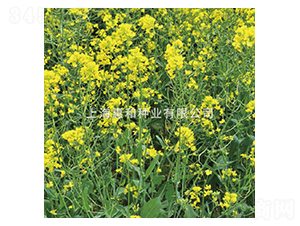 �G���Ͳ�-�Ͳ˷N��-�ݺͷN�I