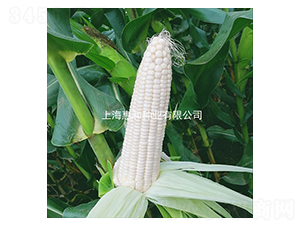 ����Ŵһ̖-Ŵ���׷N��-�ݺͷN�I