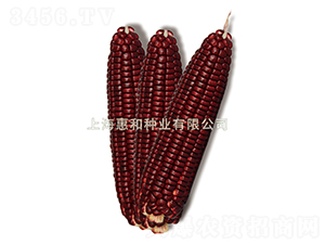 ���tŴ1̖-Ŵ���׷N��-�ݺͷN�I