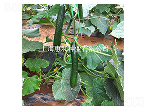 ����518-�S�ϷN��-�ݺͷN�I