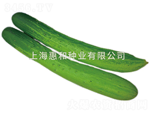 ���ɰ��-�S�ϷN��-�ݺͷN�I