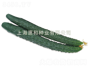 ���S��̖-�S�ϷN��-�ݺͷN�I