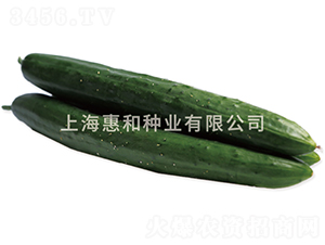 ��G������̖-�S�ϷN��-�ݺͷN�I