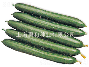 ����ļ�-�S�ϷN��-�ݺͷN�I