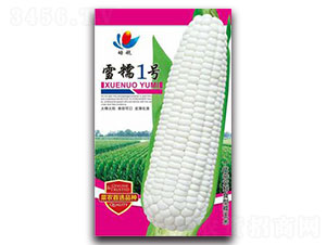 ѩŴ1̖-Ŵ���׷N��-����