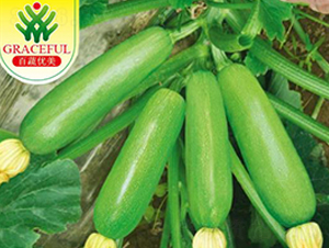 �̬�-�����J�N��-�����r�I