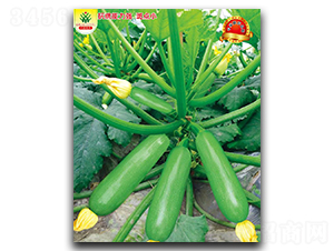 ʢ��-�����J�N��-�����r�I