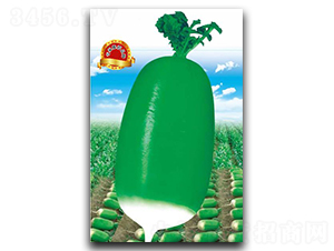 �G��-�}���N��-�����r�I