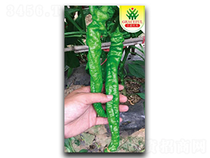 ���L����-�����N��-�����r�I