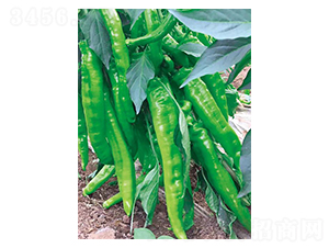 �|���L��-�����N��-�����r�I