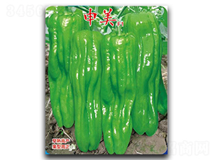 申美-辣椒種子-優美農業