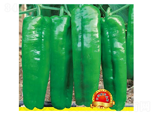 �n��8̖-�����N��-�����r�I