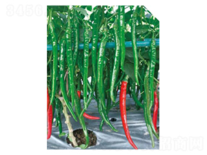 �n��-�����N��-�����r�I